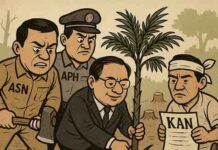 Jejak Kebun di Balik Hutan, Sawit Rakyat Menjamur di Jantung HPK Pesisir Selatan