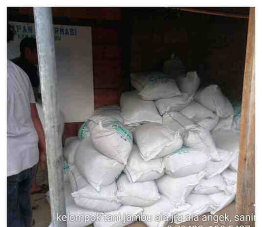 Puluhan Kelompok Tani di Solok Terima Bantuan Bibit Durian