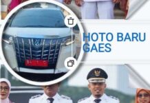 Pembelian Alphard Bupati Limapuluh Kota di Tengah Efisiensi Anggaran Dinilai Kontradiktif dengan Arahan Presiden