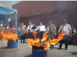 Bawang Bombai Ilegal Berpenyakit Digagalkan, Mentan Tegaskan Tak Ada Kompromi