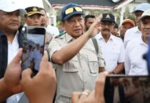 Mendagri Tito Karnavian Tinjau Jembatan Terdampak Bencana di Bireuen