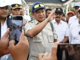 Mendagri Tito Karnavian Tinjau Jembatan Terdampak Bencana di Bireuen
