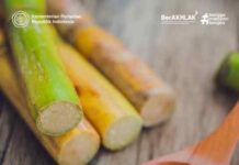 Gula Nasional Bangkit: Produksi 2,67 Juta Ton, Impor Ditekan