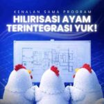 Kementan Kembangkan Hilirisasi Ayam Terintegrasi di Enam Daerah, Perkuat Swasembada Protein Hewani