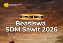 Segera Hadir! Beasiswa SDM Sawit 2026 untuk Pekebun dan Generasi Muda Perkebunan
