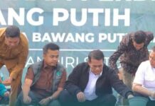 Optimalkan Lahan dan Petani Muda, NTB Disiapkan Jadi Lumbung Jagung dan Bawang Putih