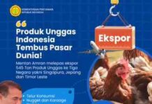 Pemerintah Lepas Ekspor 545 Ton Produk Unggas ke Tiga Negara, Nilai Capai Rp18,2 Miliar