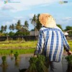 Nilai Tukar Petani Naik 1,50 Persen pada Februari 2026, Daya Beli Petani Menguat