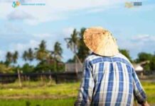 Nilai Tukar Petani Naik 1,50 Persen pada Februari 2026, Daya Beli Petani Menguat