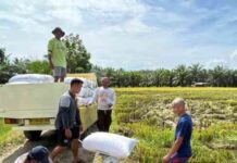 Stok Beras di Gudang Bulog Solok Aman, Masyarakat Diminta Tidak Panic Buying