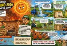 Antisipasi El Niño 2026, Pemerintah Perkuat Strategi Air, Benih Tahan Kering dan Cadangan Pangan