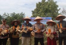 Polres Solok Intensifkan Pengamanan dan Dukung Program Ketahanan Pangan Nasional