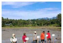 Wali Nagari Cupak Bersama Petani dan Kementan Luncurkan Program PM-AAS, Dorong Modernisasi Pertanian dari Nagari