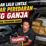 Kecelakaan di Gunung Talang Bongkar Dugaan Peredaran 25 Kg Ganja, Satu Orang Diamankan