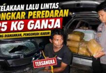 Kecelakaan di Gunung Talang Bongkar Dugaan Peredaran 25 Kg Ganja, Satu Orang Diamankan