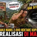 Kopi Solok 2.000 Hektare: Hilang Jejak atau Masih Berproses?