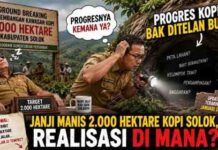 Kopi Solok 2.000 Hektare: Hilang Jejak atau Masih Berproses?