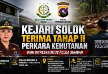 Kejari Solok Terima Tahap II Perkara Kehutanan, BS Diduga Panen Hasil Hutan Tanpa Hak