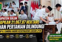 “21 Ribu Hektare LP2B, Langkah Strategis Kabupaten Solok Menjaga Kedaulatan Pangan”
