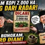 Program Kopi 2.000 Hektare Menghilang dari Radar, Dinas Pertanian Bungkam, DPRD Kabupaten Solok Membisu