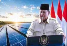 Prabowo Luncurkan Program PLTS 100 GWp, Investasi Diproyeksikan Tembus Rp1.140 Triliun