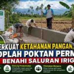 Perkuat Ketahanan Pangan, OPLAH Poktan PERMATA Benahi Saluran Irigasi
