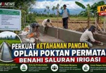 Perkuat Ketahanan Pangan, OPLAH Poktan PERMATA Benahi Saluran Irigasi