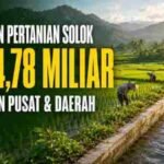 Pemkab Solok Himpun Dukungan Rp54,78 Miliar, Pemulihan Pertanian Pascabencana Semakin di Depan Mata