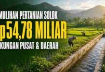 Pemkab Solok Himpun Dukungan Rp54,78 Miliar, Pemulihan Pertanian Pascabencana Semakin di Depan Mata