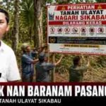 Usai Dishut Sumbar Pasang Pemberitahuan PBPH PT KBL, Datuak Nan Baranam Tegaskan Klaim Ulayat Sikabau