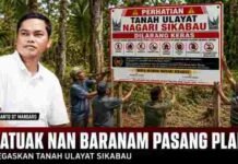 Usai Dishut Sumbar Pasang Pemberitahuan PBPH PT KBL, Datuak Nan Baranam Tegaskan Klaim Ulayat Sikabau