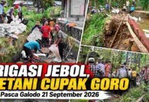 Galodo Jebolkan Irigasi Banda Kuok-Banda Gadang, Petani Cupak Lakukan Penanganan Darurat