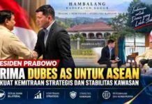 Prabowo Terima Dubes AS untuk ASEAN, Perkuat Kemitraan Strategis dan Stabilitas Kawasan