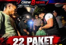 Polisi Sita 22 Paket Diduga Ganja di Dharmasraya, Dugaan Sasaran Pelajar Jadi Sorotan